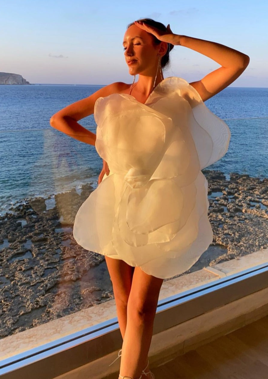 Armelle Robe Courte