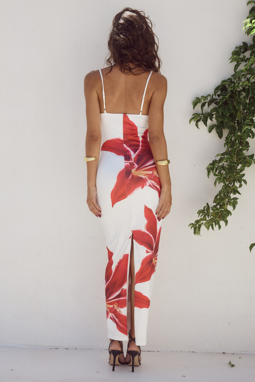 Prune Robe Longue