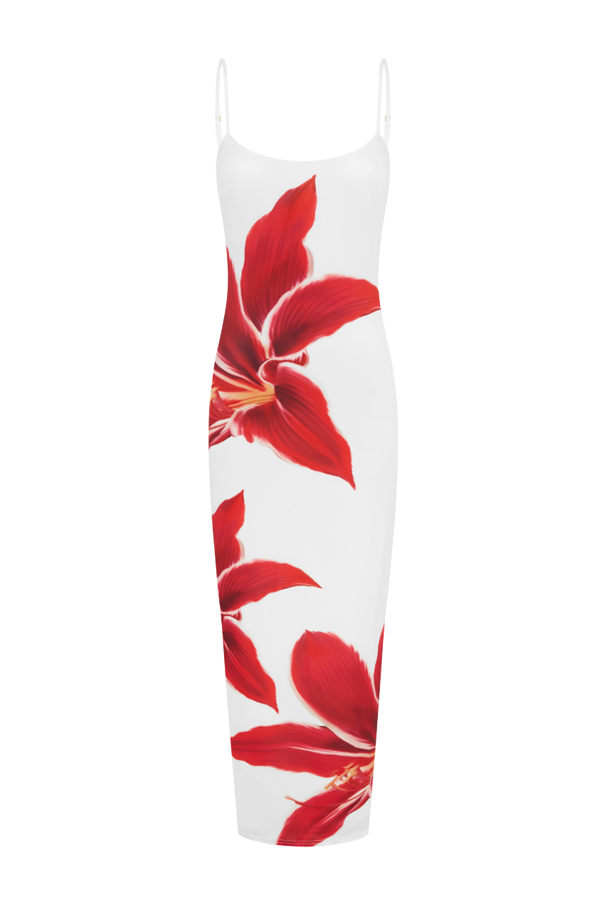 Prune Robe Longue